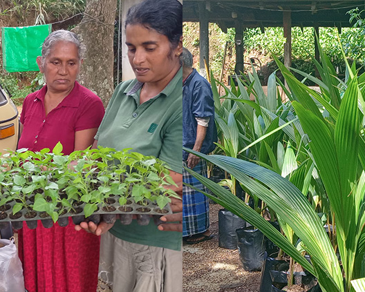 Community agriculture training