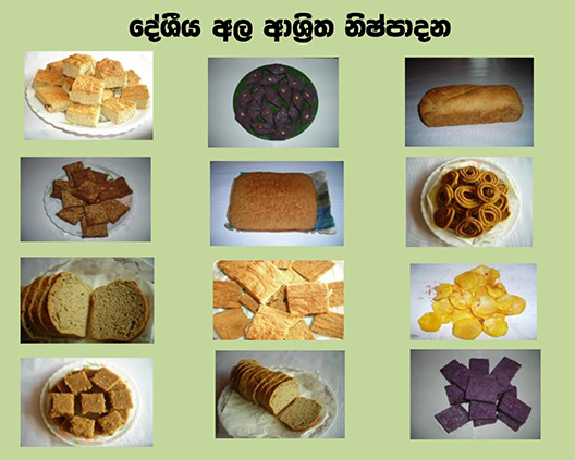 Indigenous yam conservation