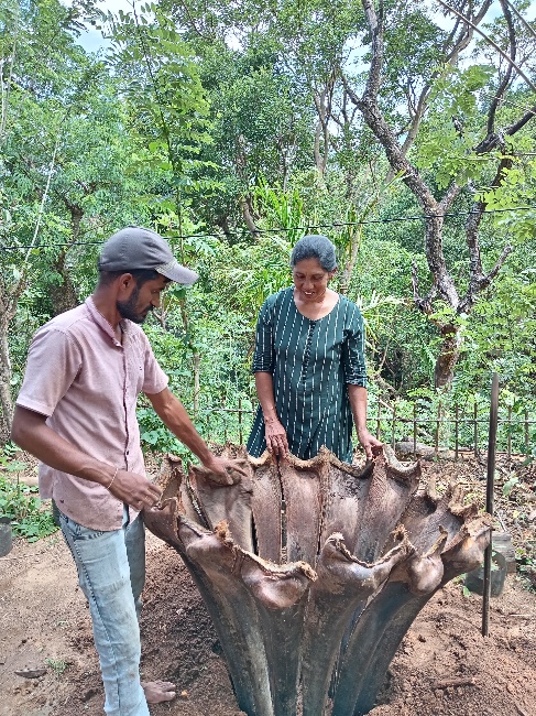 Crop management training session