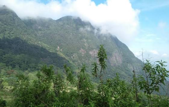 Knuckles conservation project with community participation