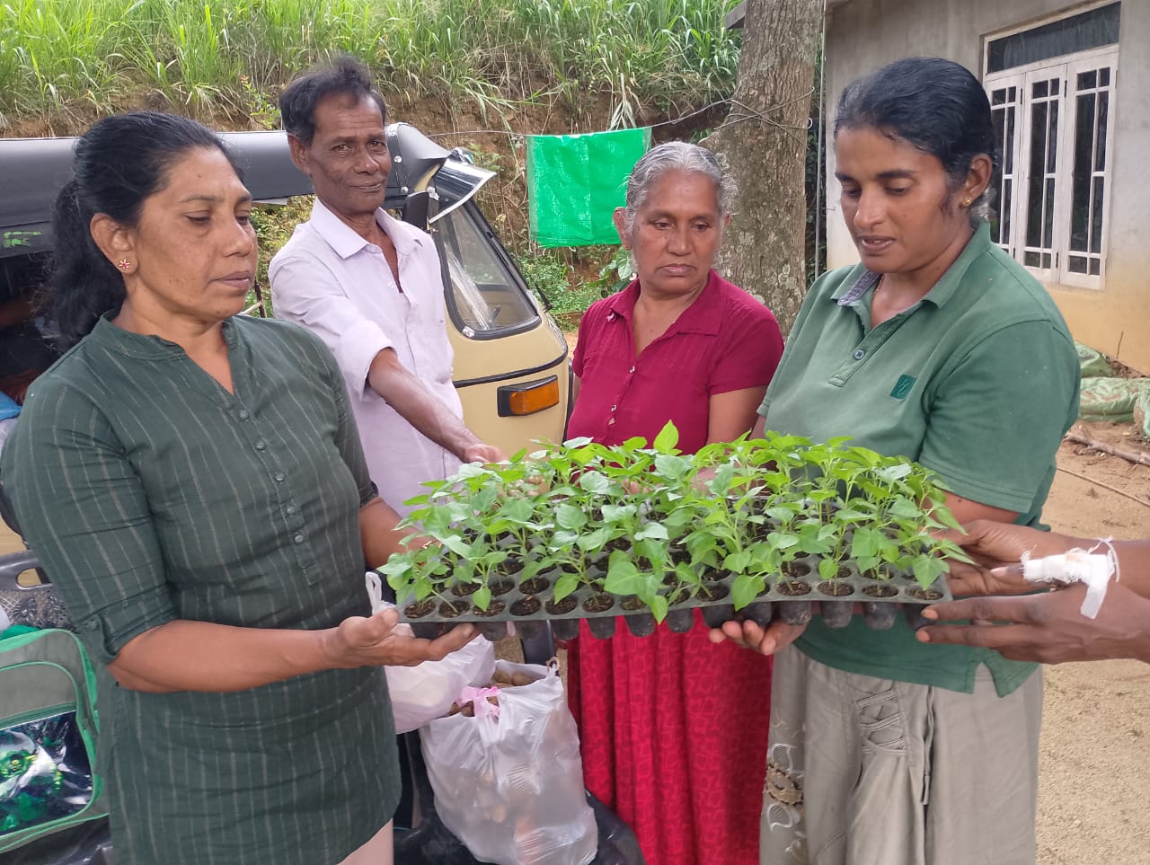 Farmer tending to crops on the model farm