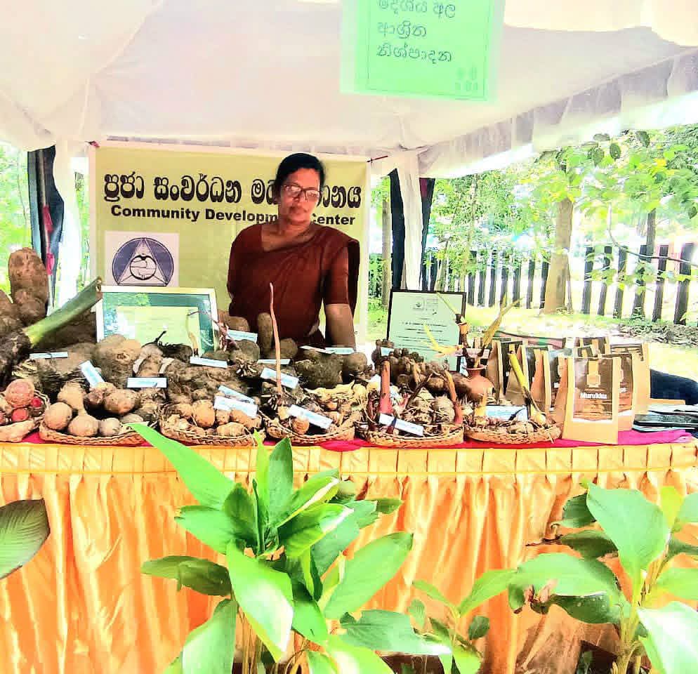 Conservation and biodiversity awareness display at the national Environment Day event