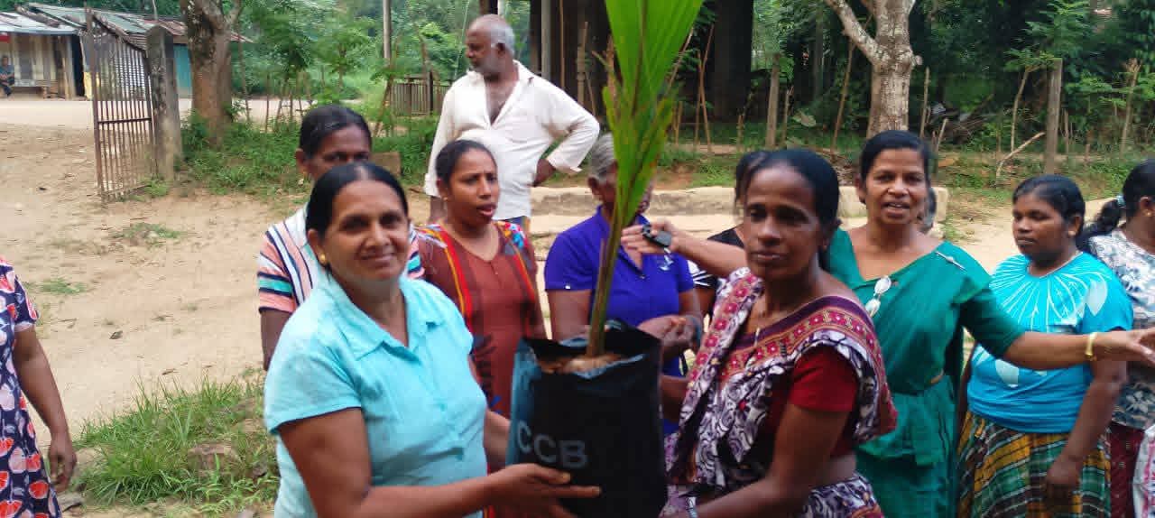 Rural families and CDC field workers during the coconut seedling distribution in Munamalapelessa