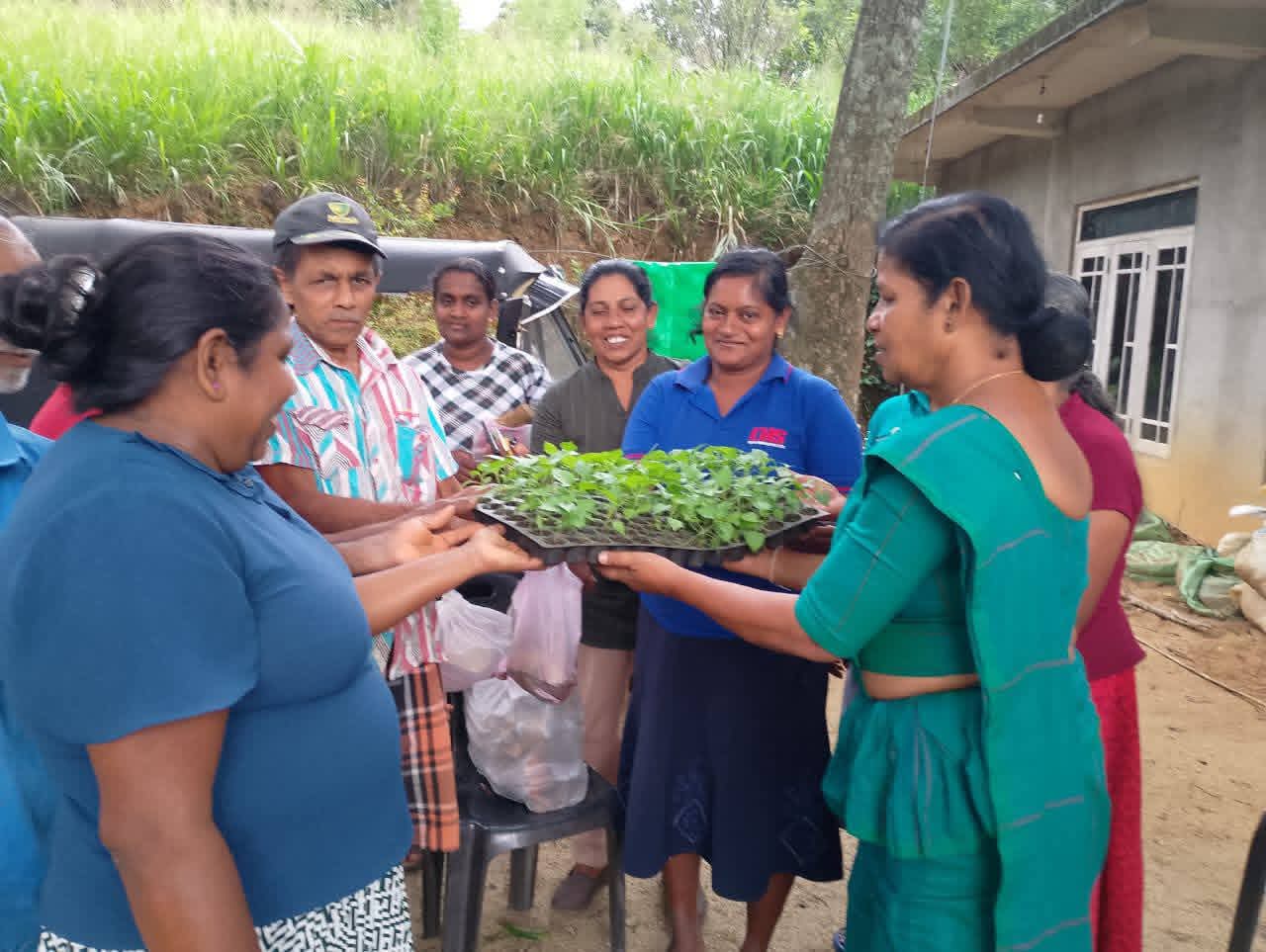 Farmer working in a community agriculture programme